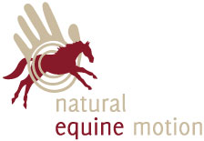 natural-equine-motion